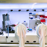 Bio Stack 3 and Epoch 2 inside Whitley A145 Anaerobic Workstation