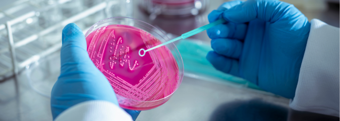 Latest Discoveries in Microbiology Research