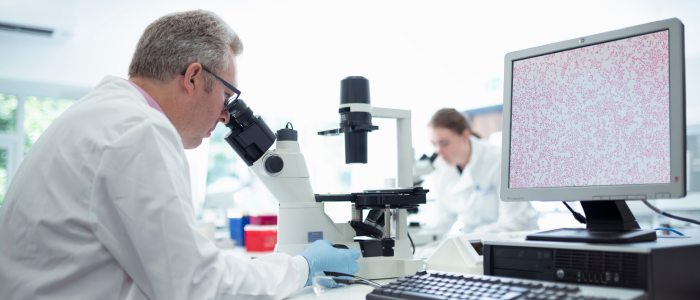 The DWS Lab