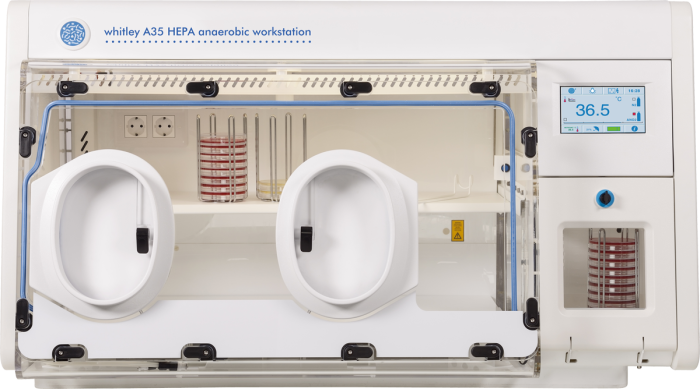 New Scientific Paper: Isolation of Anaerobic Bacteria From the Digestive Tract of Chickens