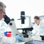 The DWS Lab