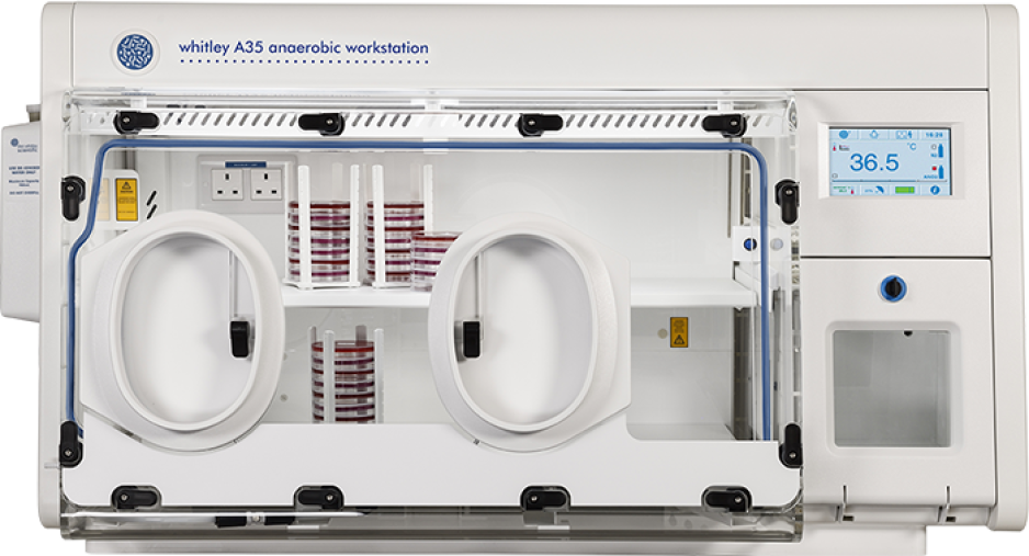 Whitley A35 Workstation