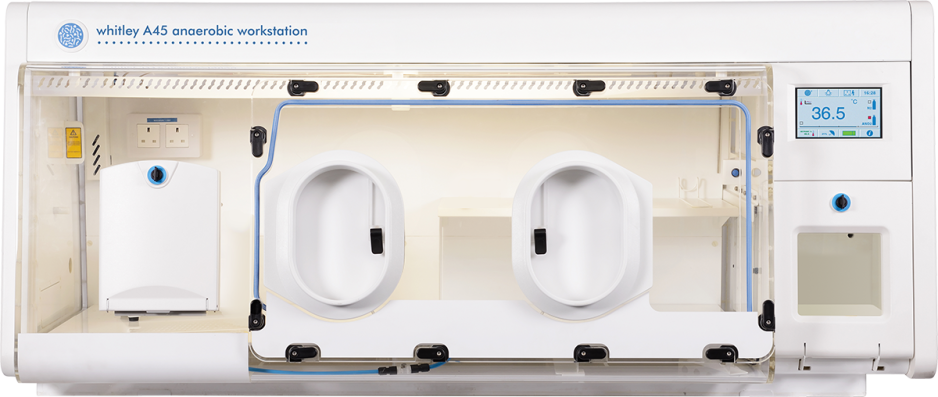 Whitley A45 Workstation
